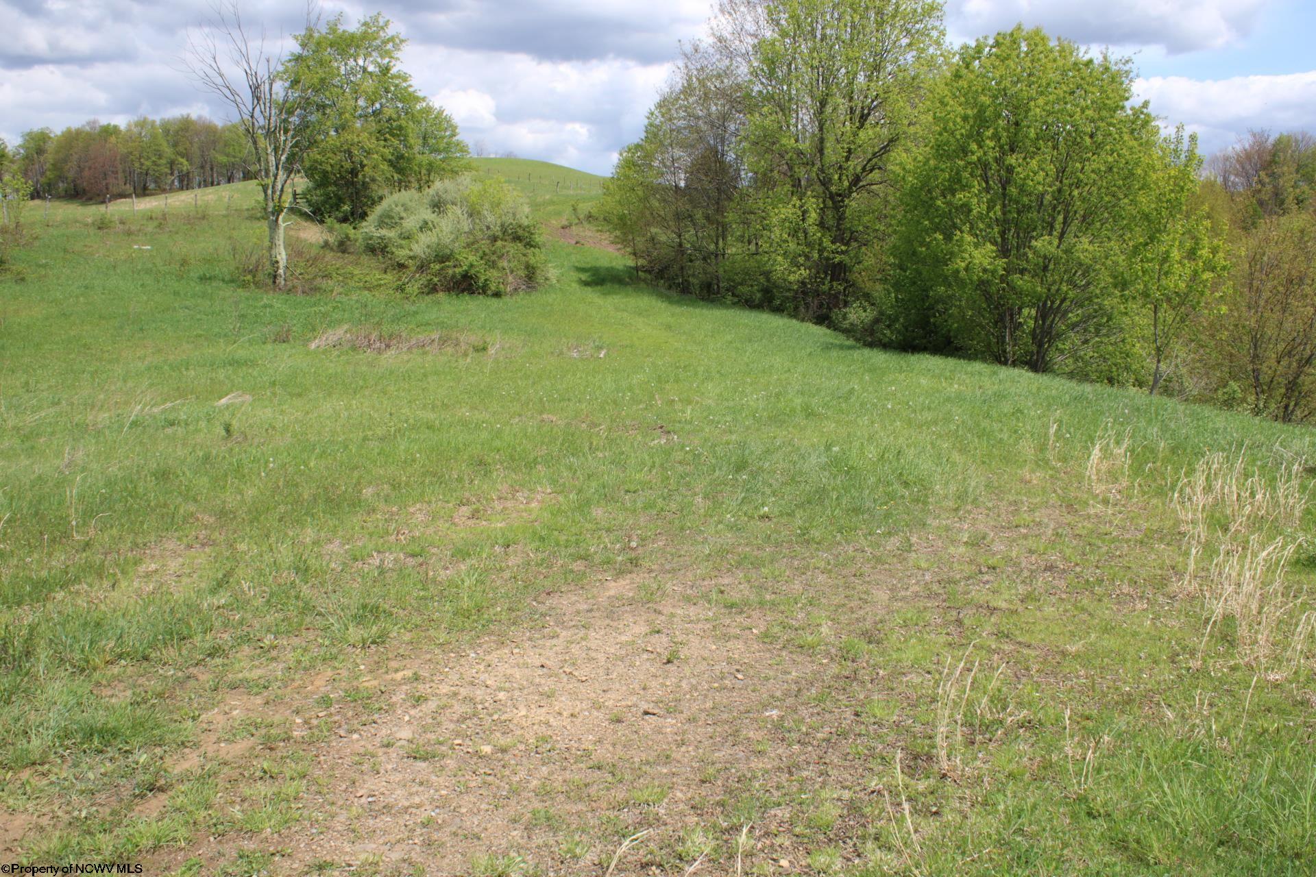 5360 Stemple Ridge Road Aurora, WV 26705 - Photo 8 of 38 Gallery Image 8