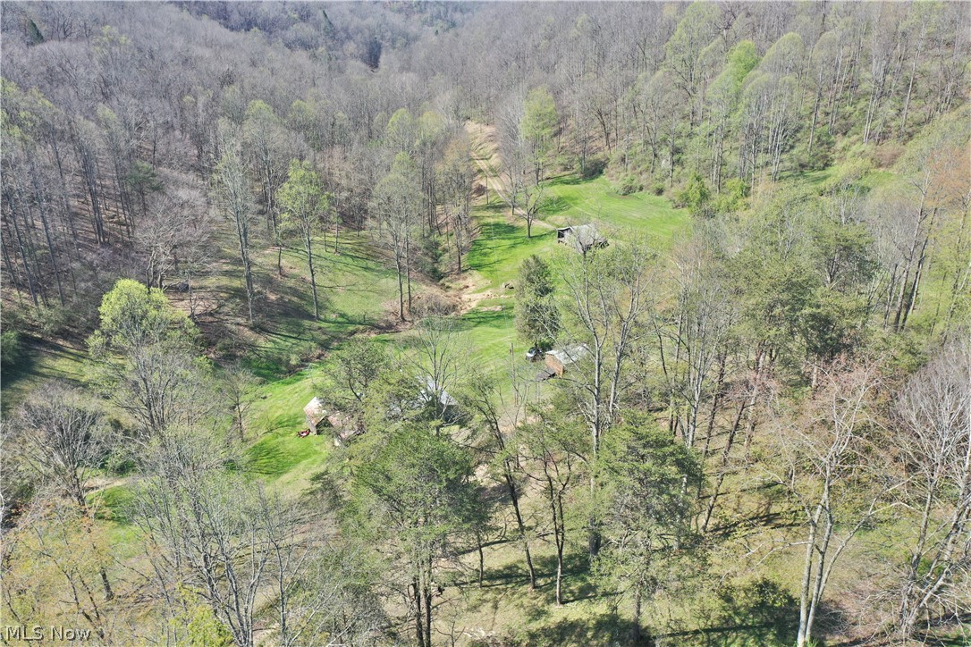 6670 Lower Run Road Normantown, WV 25267 - Photo 28 of 46