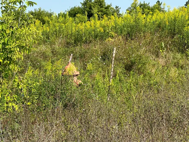 $899,000 | Lt1 West Evergreen Parkway, Elkhorn, WI 53121