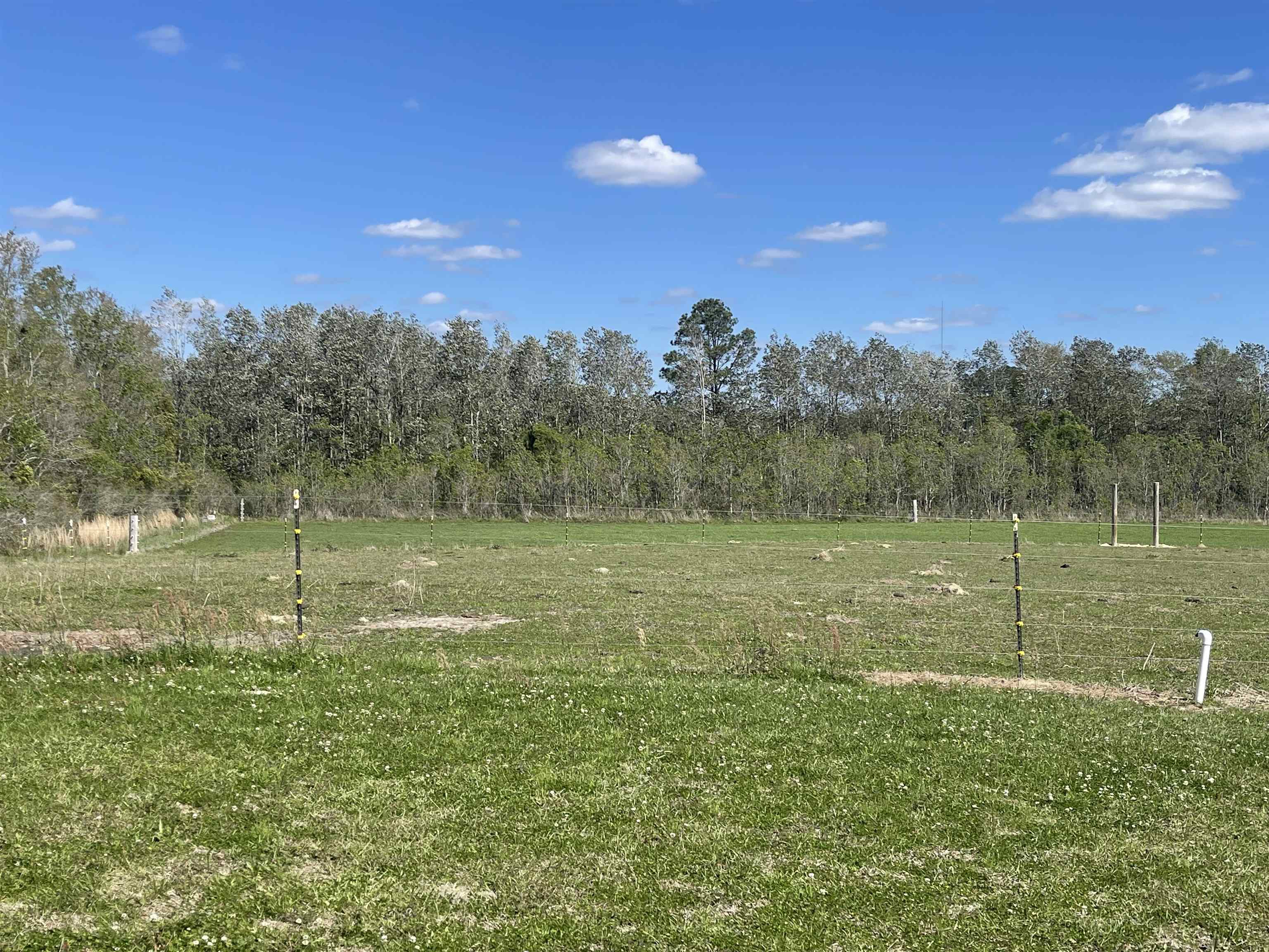 22102 Riendeau Lane Robertsdale, AL 36567 - Photo 15 of 20