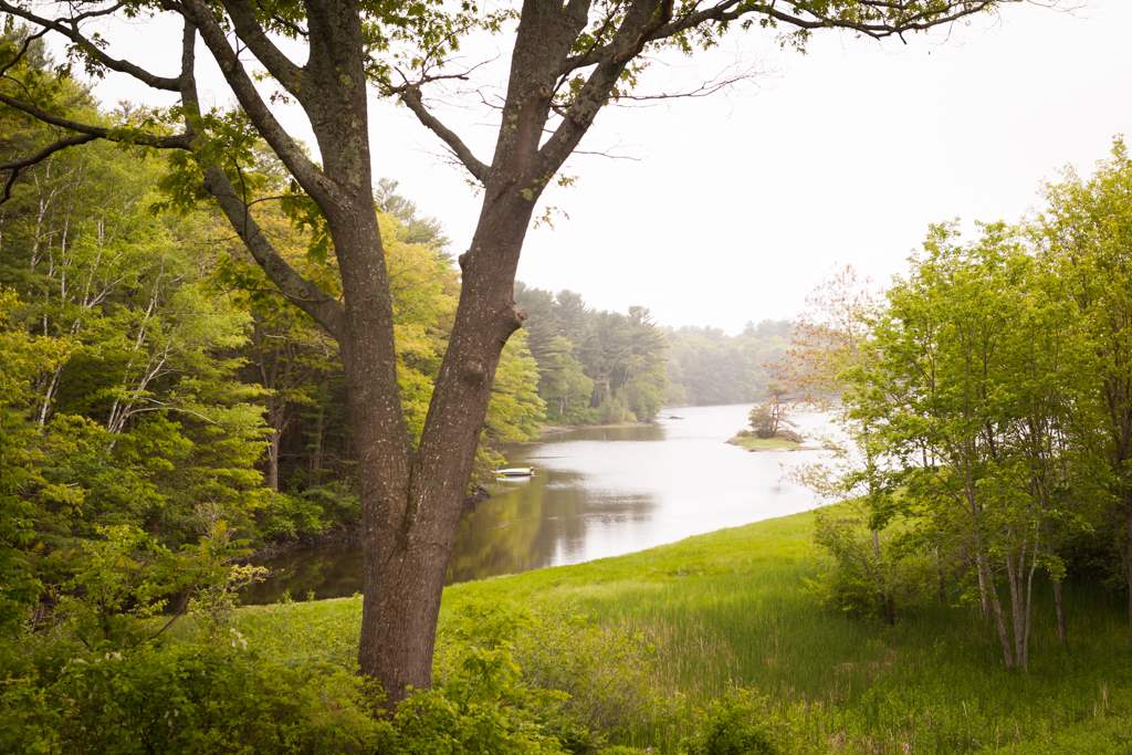 592 Haley Road Kittery, ME 03905 - Photo 3 of 19