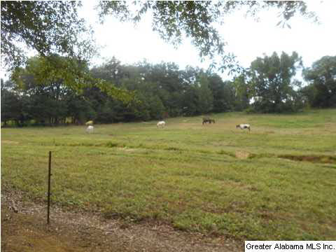 1400 Wilson Chapel Road, Unit 28 ACRES Oneonta, AL 35121 - Photo 8 of 19