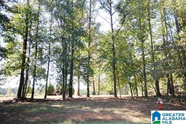 0 County Road 928, Unit 19 Delta, AL 36258 - Photo 33 of 43