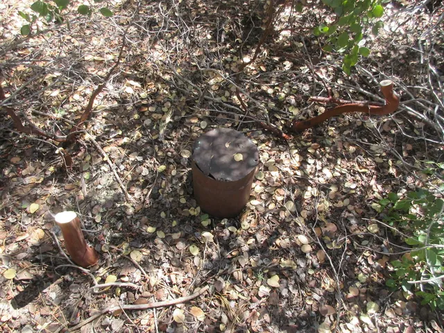a backyard of a house with lots of green space and garden
