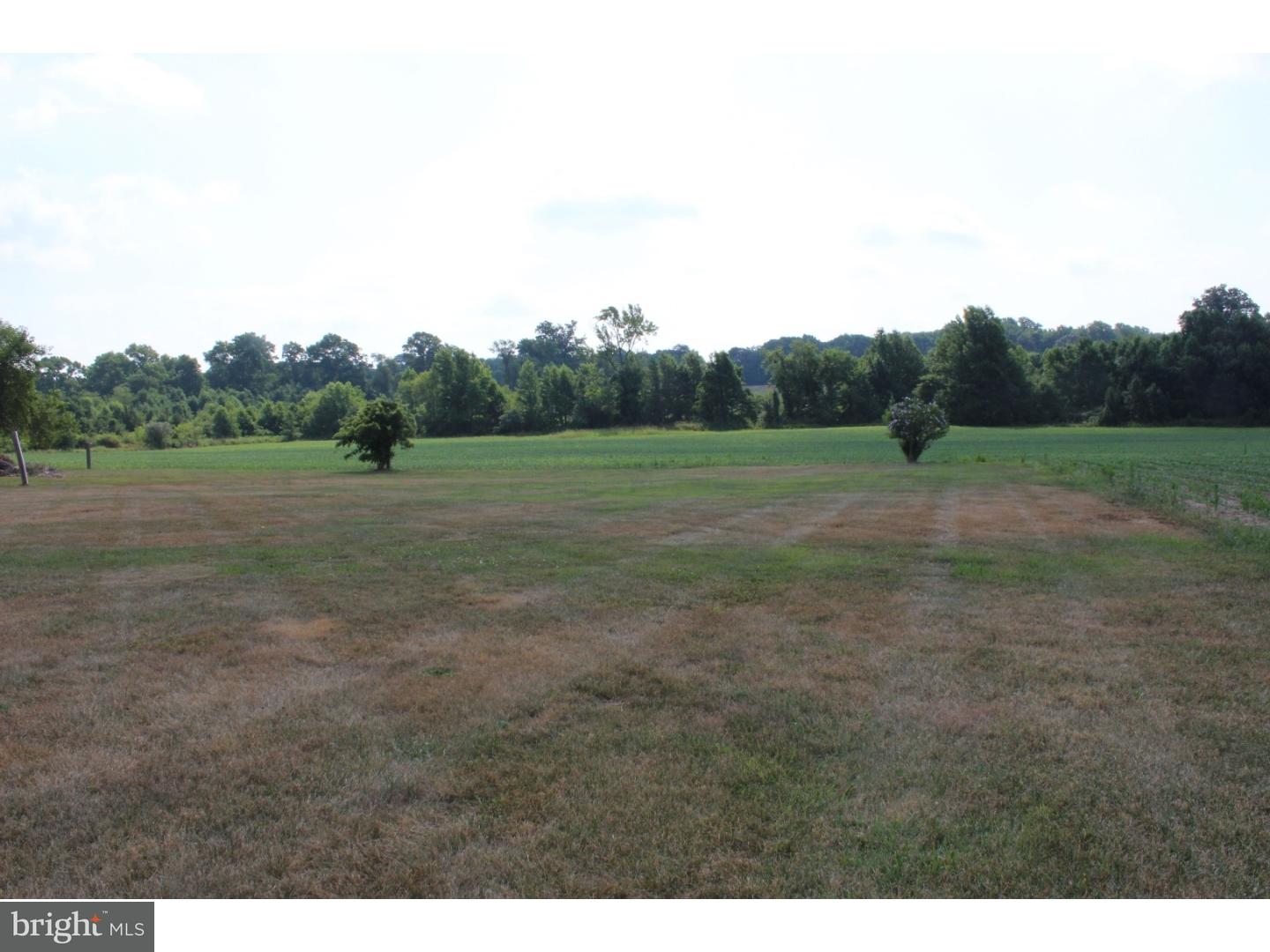 102 Stewart Road Pilesgrove, NJ 08098 - Photo 22 of 25 Back Yard