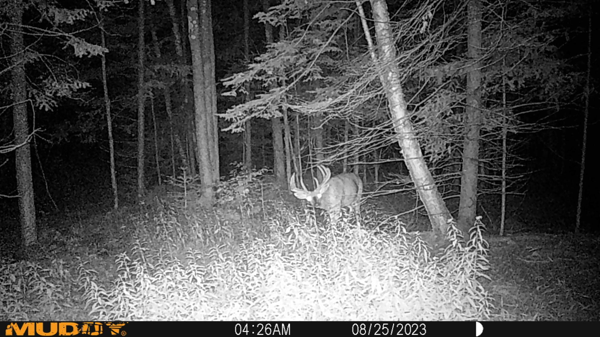 N8393 Pioneer Road Hawkins, WI 54530 - Photo 71 of 73 Gallery Image 71