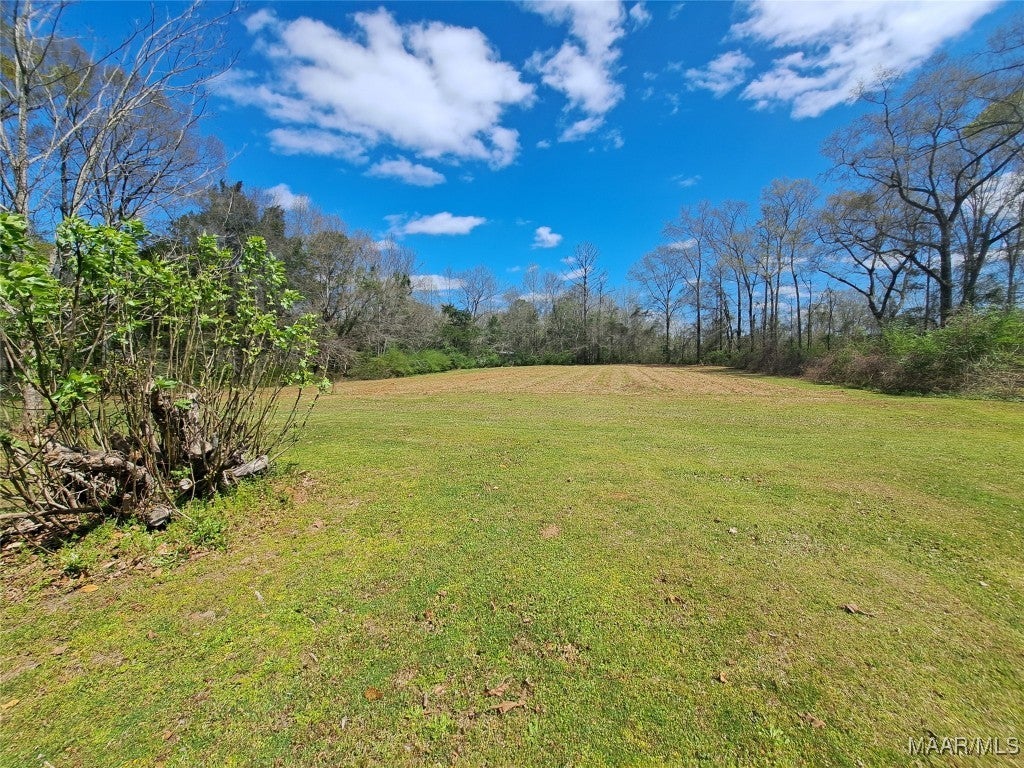 4545 County Road 19 Road Evergreen, AL 36401 - Photo 10 of 50 Gallery Image 10