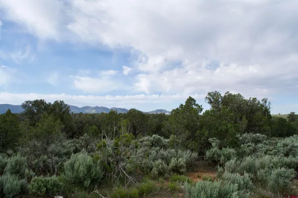 a view of a field with trees in background