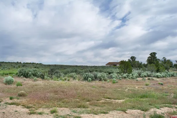 a big yard with lots of green space in it