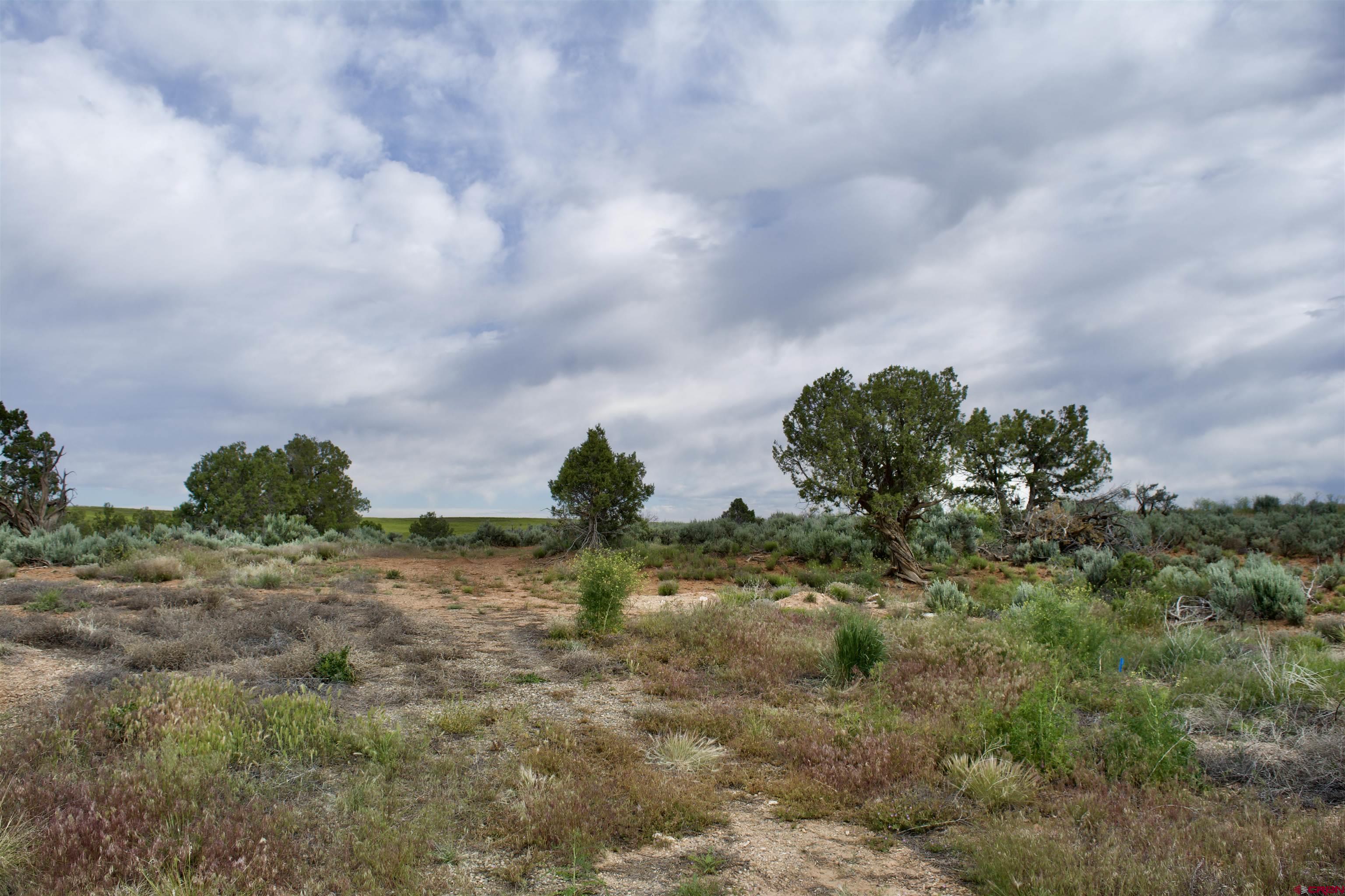 Lot 3 Road 24.3 Cortez, CO 81321 - Photo 10 of 16