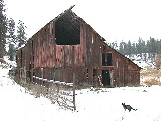614 West Fender Road, Unit 921 Colbert, WA 99005 - Photo 7 of 9