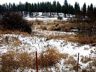 614 West Fender Road, Unit 921 Colbert, WA 99005 - Photo 8 of 9