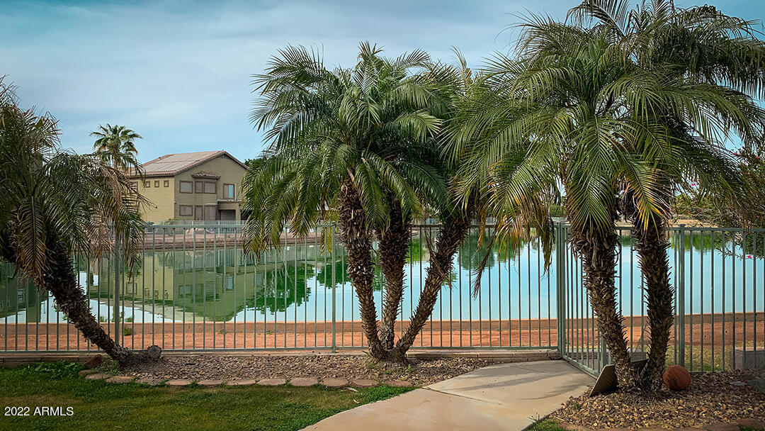 10802 West Granada Road Avondale, AZ 85392 - Photo 16 of 16 IMG_7302-sm