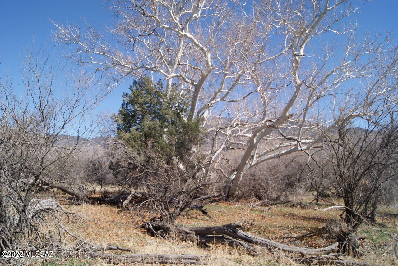 6411 South X9 Ranch Road, Unit 28 Vail, AZ 85641 - Photo 18 of 27