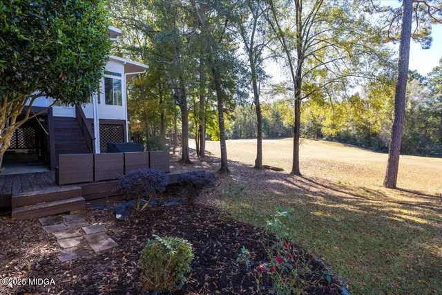 a view of a yard with plants and tree