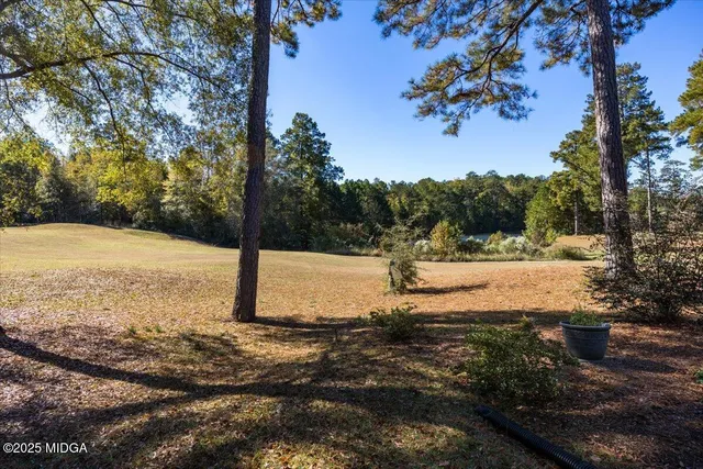 a view of a yard with mountain