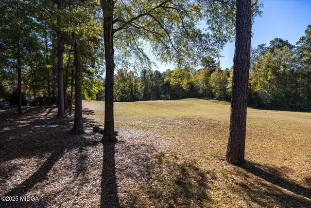 a view of a yard with trees