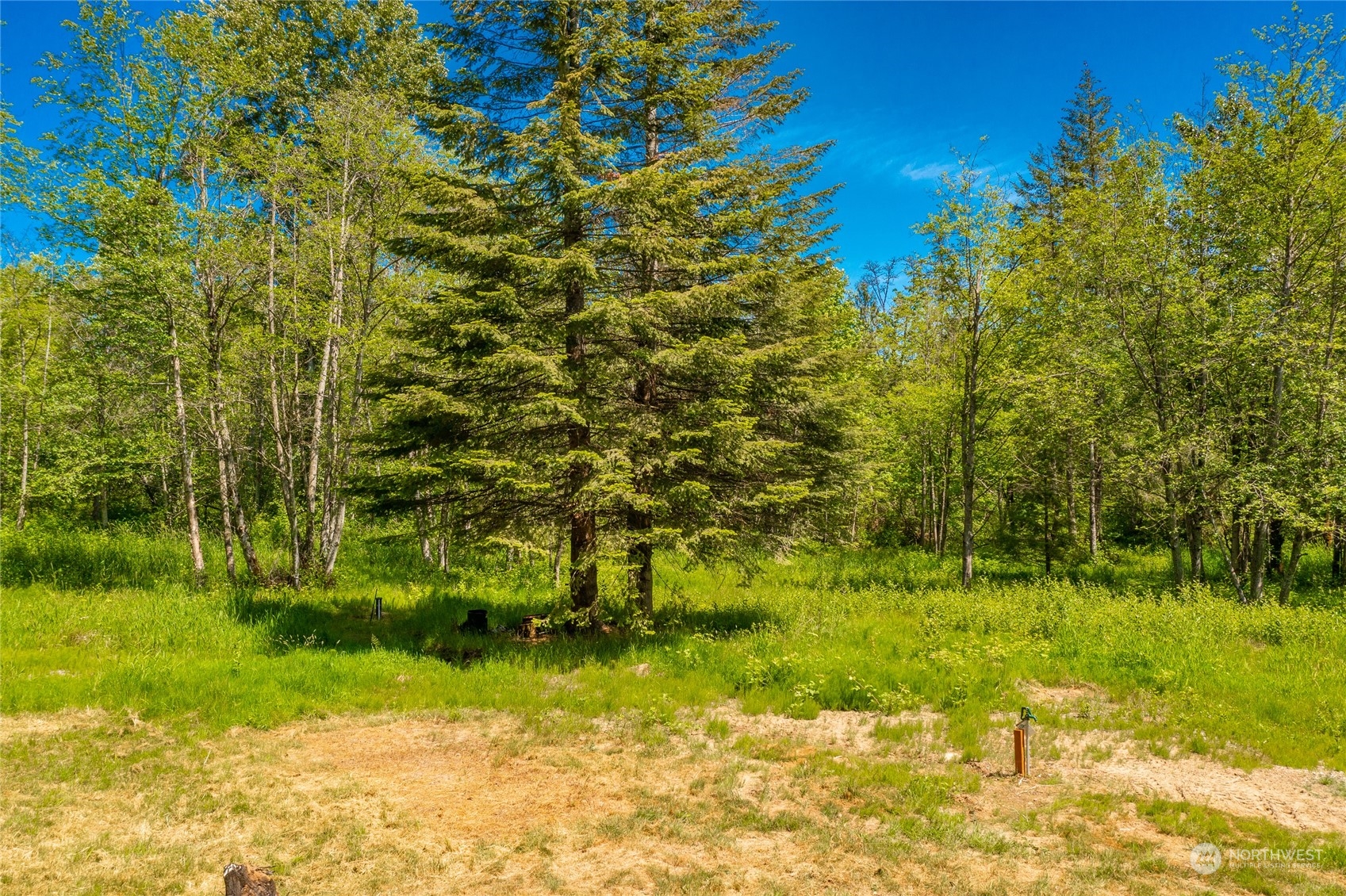 9092 Stein Road Custer, WA 98240 - Photo 19 of 24 a view of yard with green space