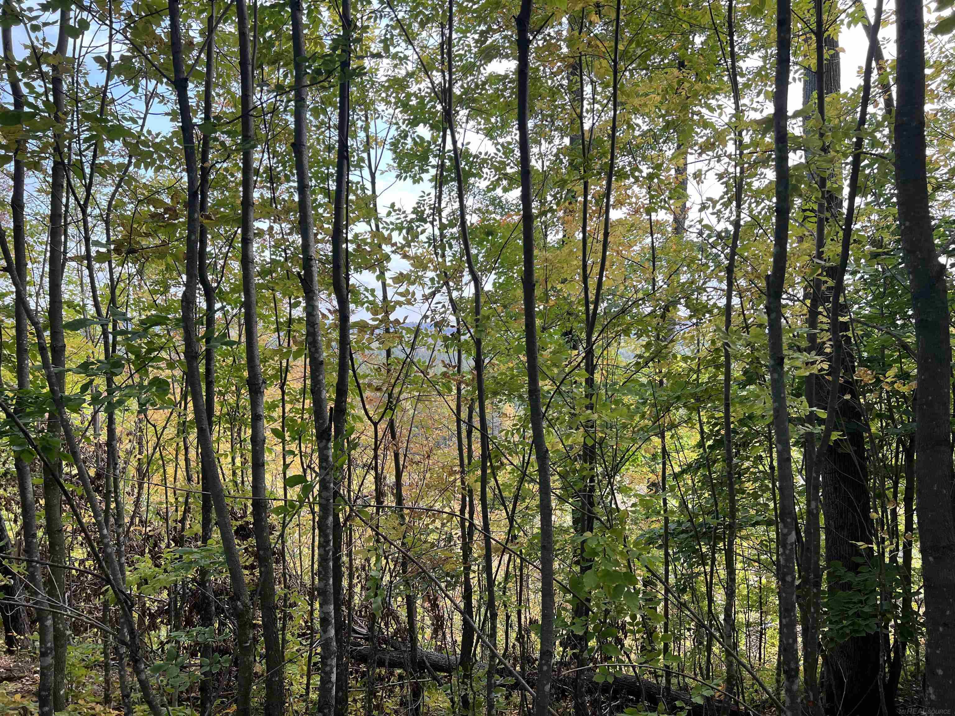 Xxx Ford River Road Felch, MI 49831 - Photo 3 of 32 Gallery Image 3