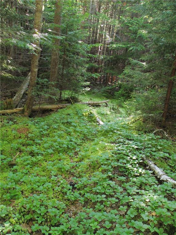 0 Windward Way Addison, ME 04606 - Photo 20 of 30 Photo