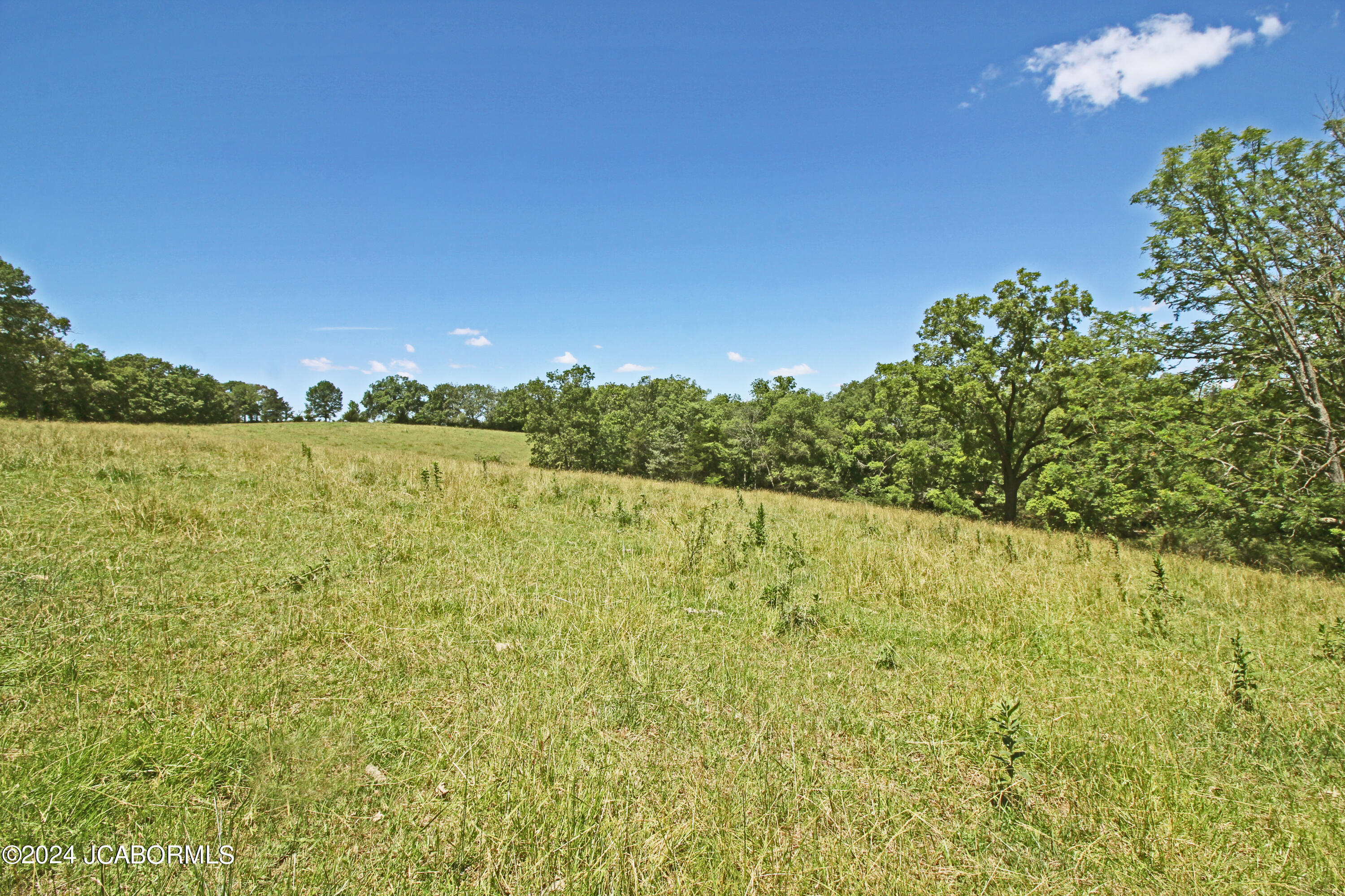 Tbd Baer Road California, MO 65018 - Photo 3 of 10