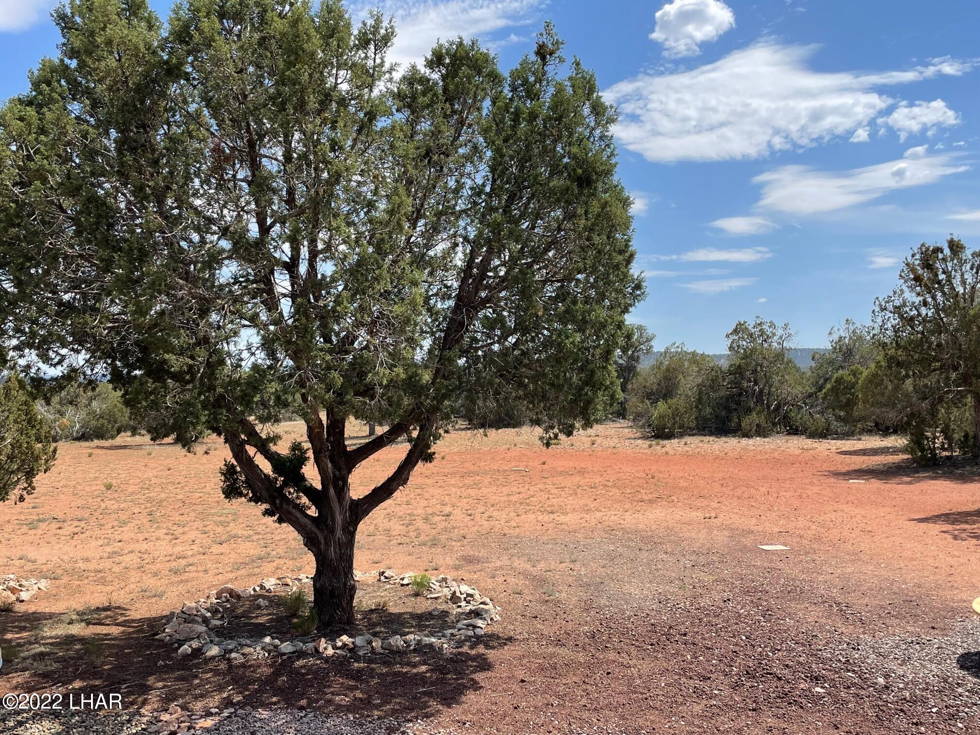 54505 Castano Road Seligman, AZ 86337 - Photo 11 of 39 IMG_4186