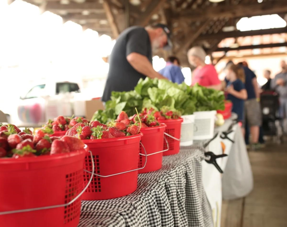 24613 Ponder Loop Loxley, AL 36551 - Photo 32 of 43 Strawberry Festival