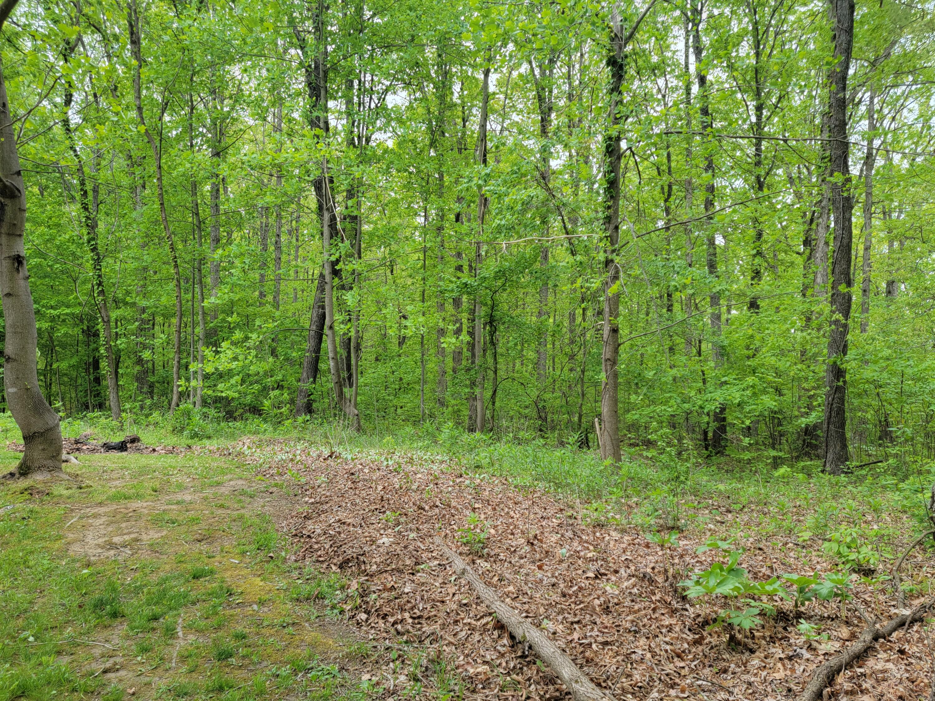 2431 Old State Road Olympia, KY 40358 - Photo 40 of 42 20230501_172058
