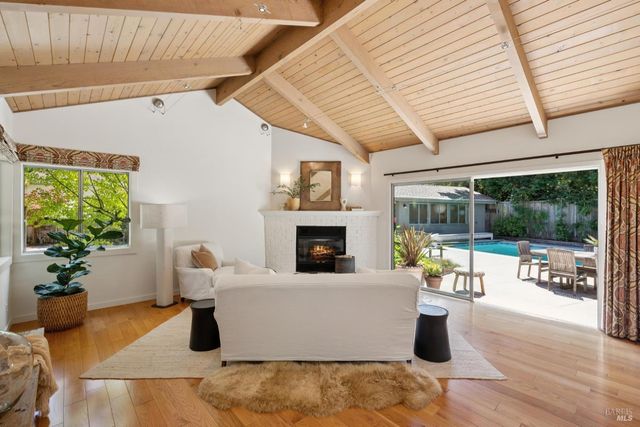 a living room with furniture a fireplace and a potted plant