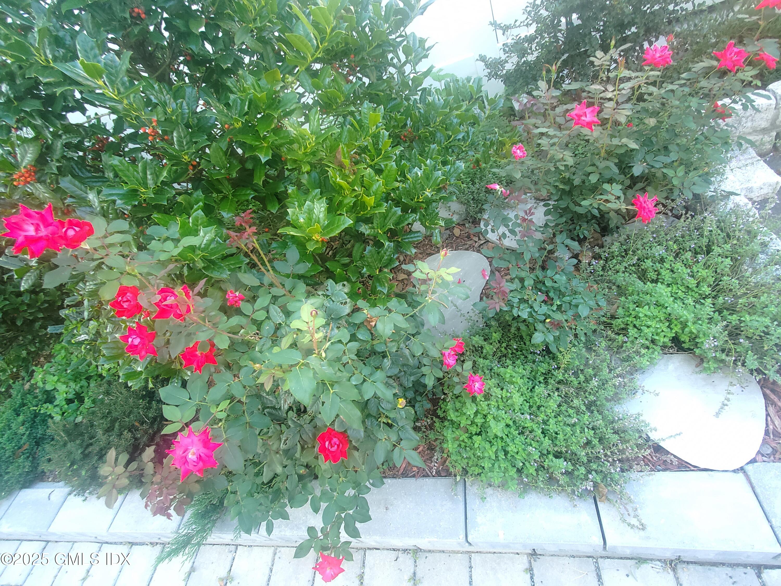 92 Valley Road, Unit A Cos Cob, CT 06807 - Photo 49 of 57 20230819_181352