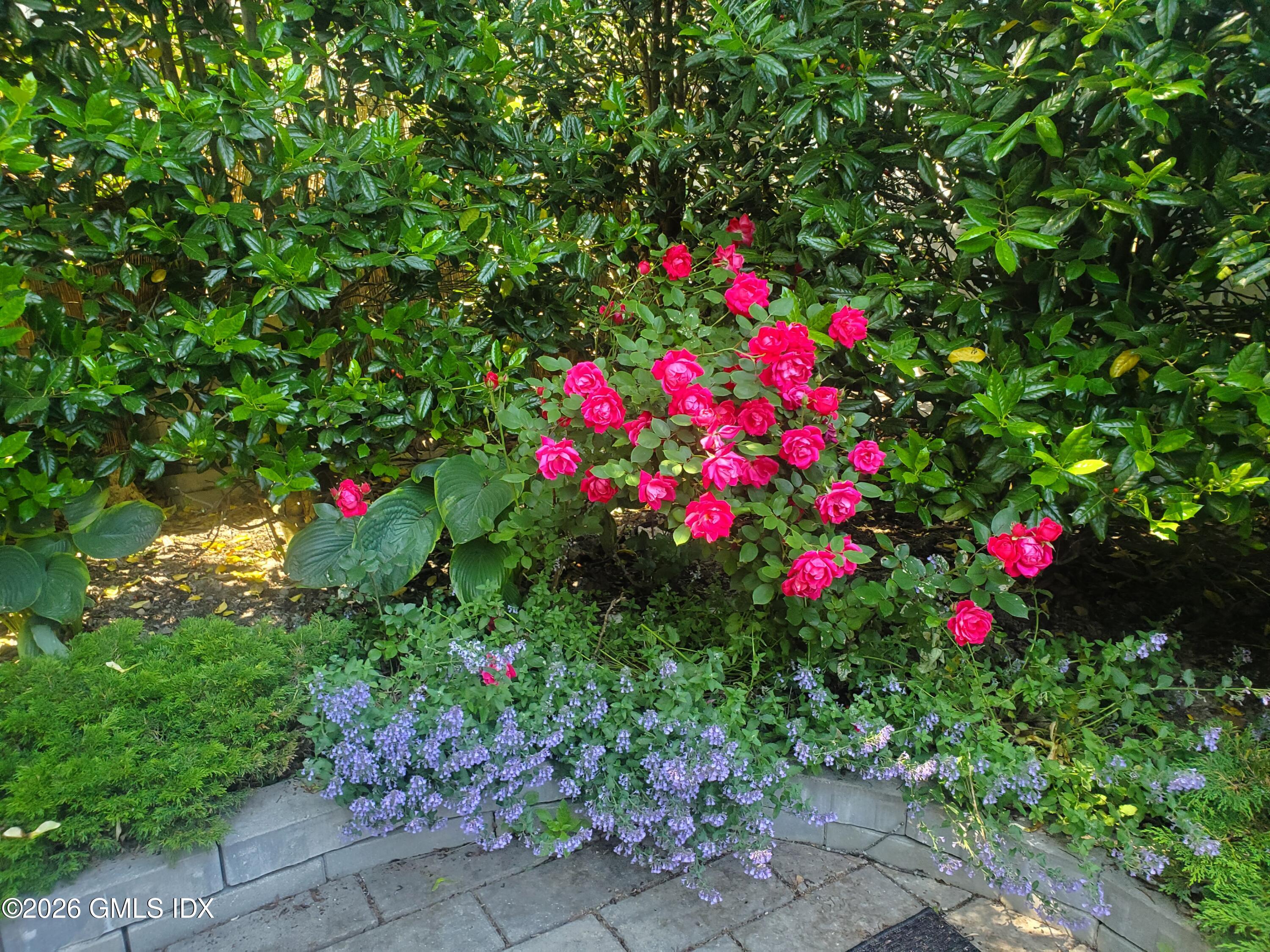 92 Valley Road, Unit A Cos Cob, CT 06807 - Photo 50 of 57 20250604_154820