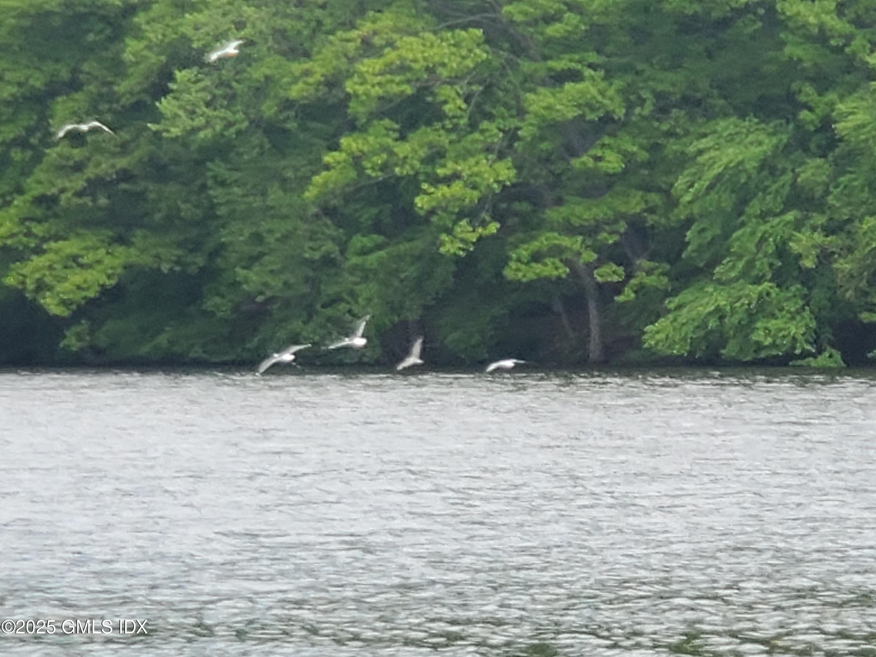 92 Valley Road, Unit A Cos Cob, CT 06807 - Photo 56 of 57 a view of outdoor space