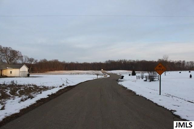 E Trillium Parma, MI 49269 - Photo 1 of 1 Photo 2