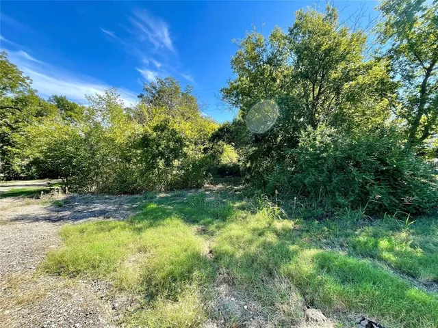 a view of yard with green space