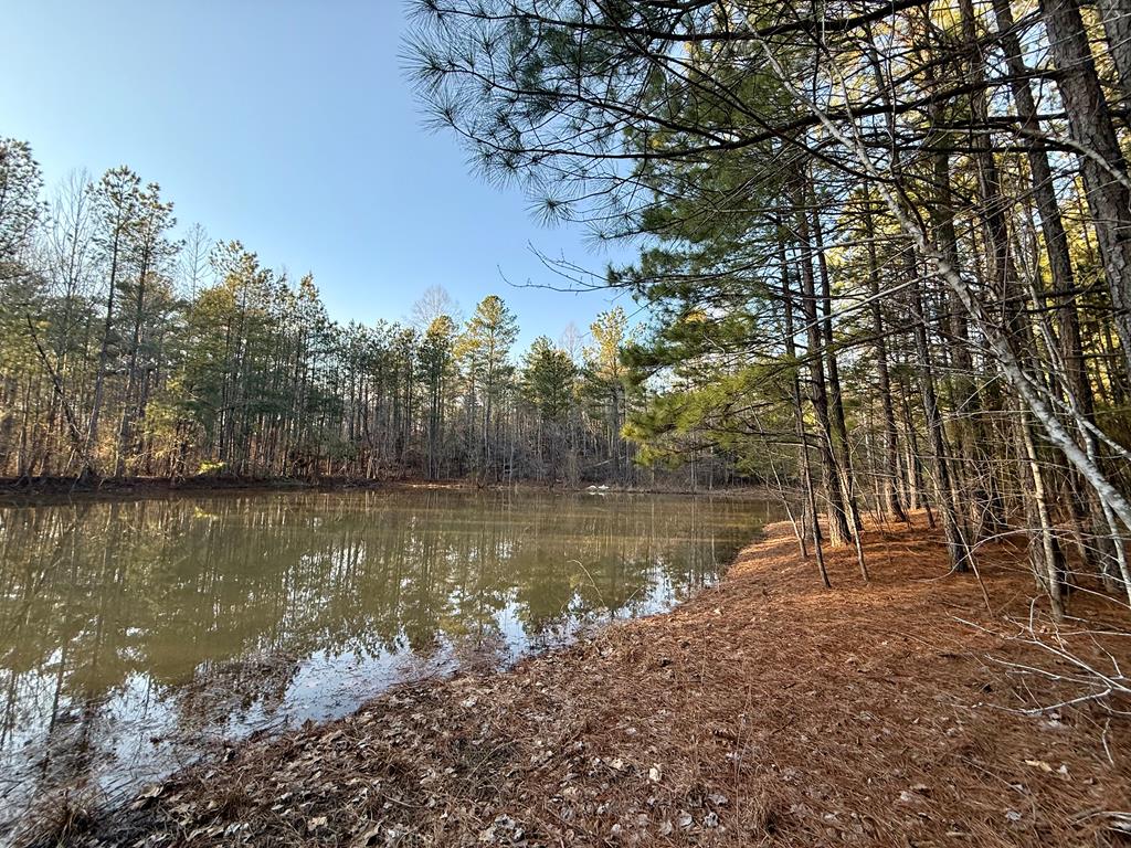 Scotts Bottom Road, Unit 17 Dillwyn, VA 23936 - Photo 28 of 31 Gallery Image 28