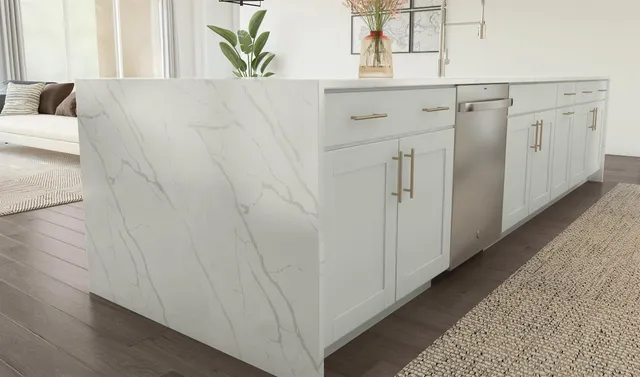 a close view of a closet