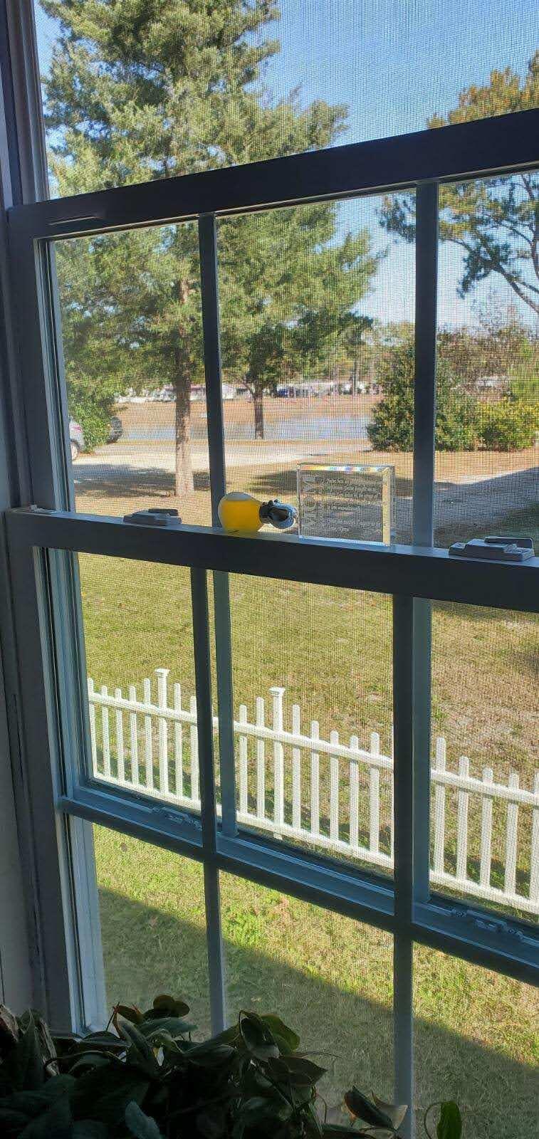 2729 Libra Drive Myrtle Beach, SC 29575 - Photo 24 of 49 Exterior-Libra (13)