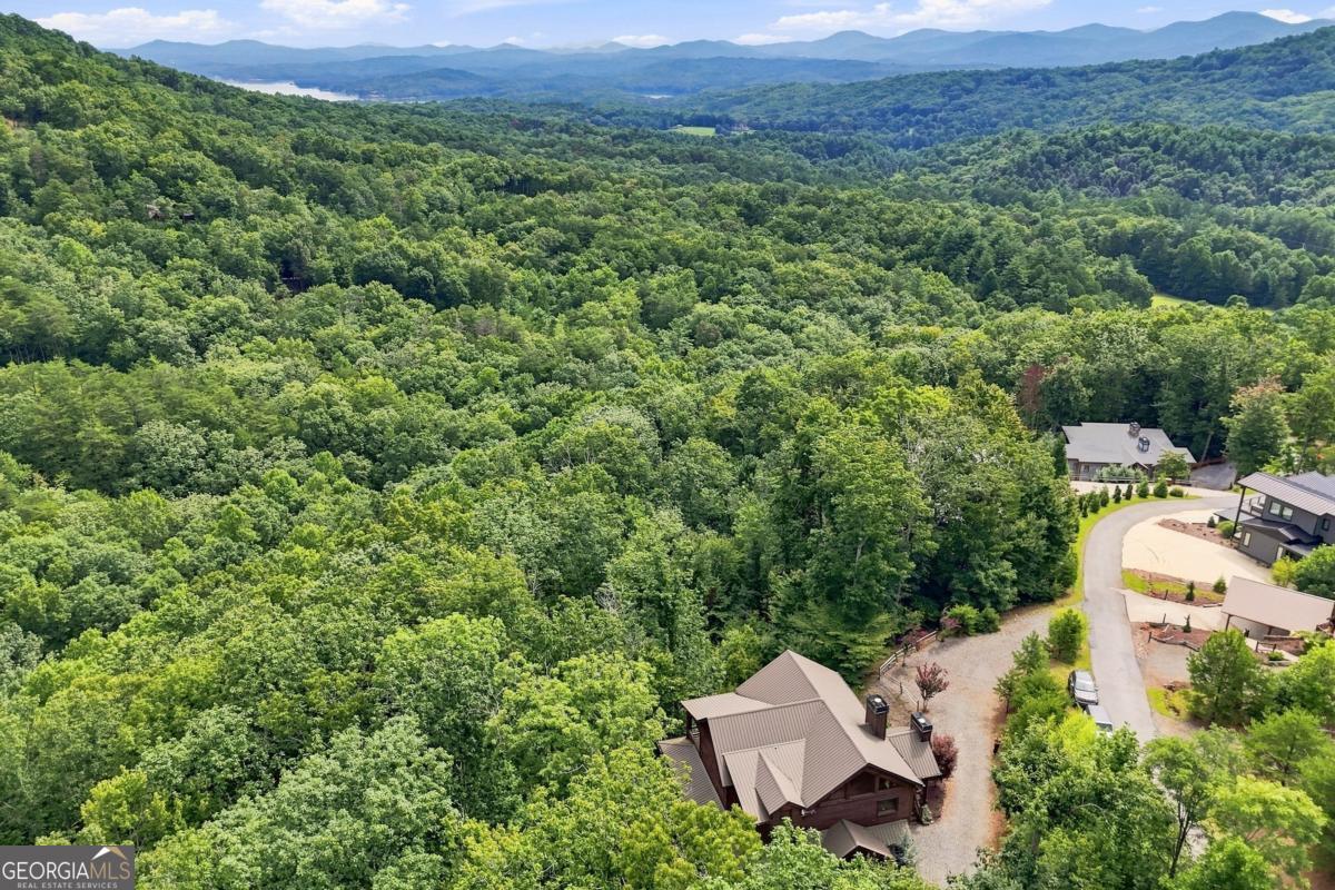 476 Deer Crest Road, Unit 23 Blue Ridge, GA 30513 - Photo 36 of 100 Gallery Image 36