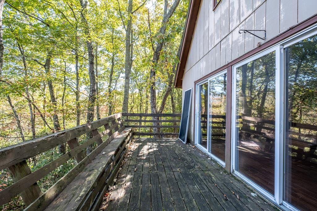101 Mount Haven Road Murphy, NC 28906 - Photo 8 of 63 Gallery Image 8