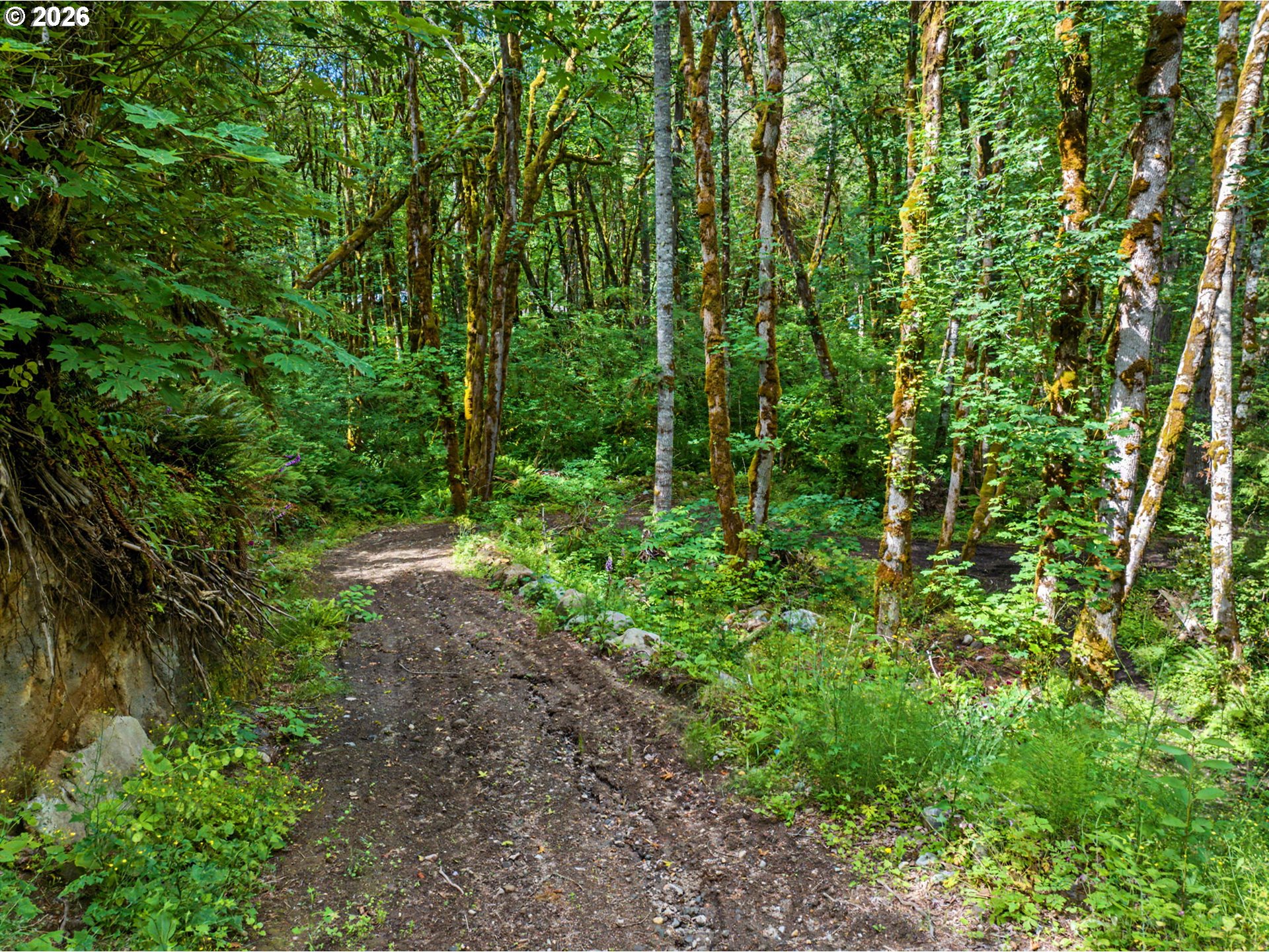 64601 East Brightwood Loop Road Brightwood, OR 97011 - Photo 44 of 48