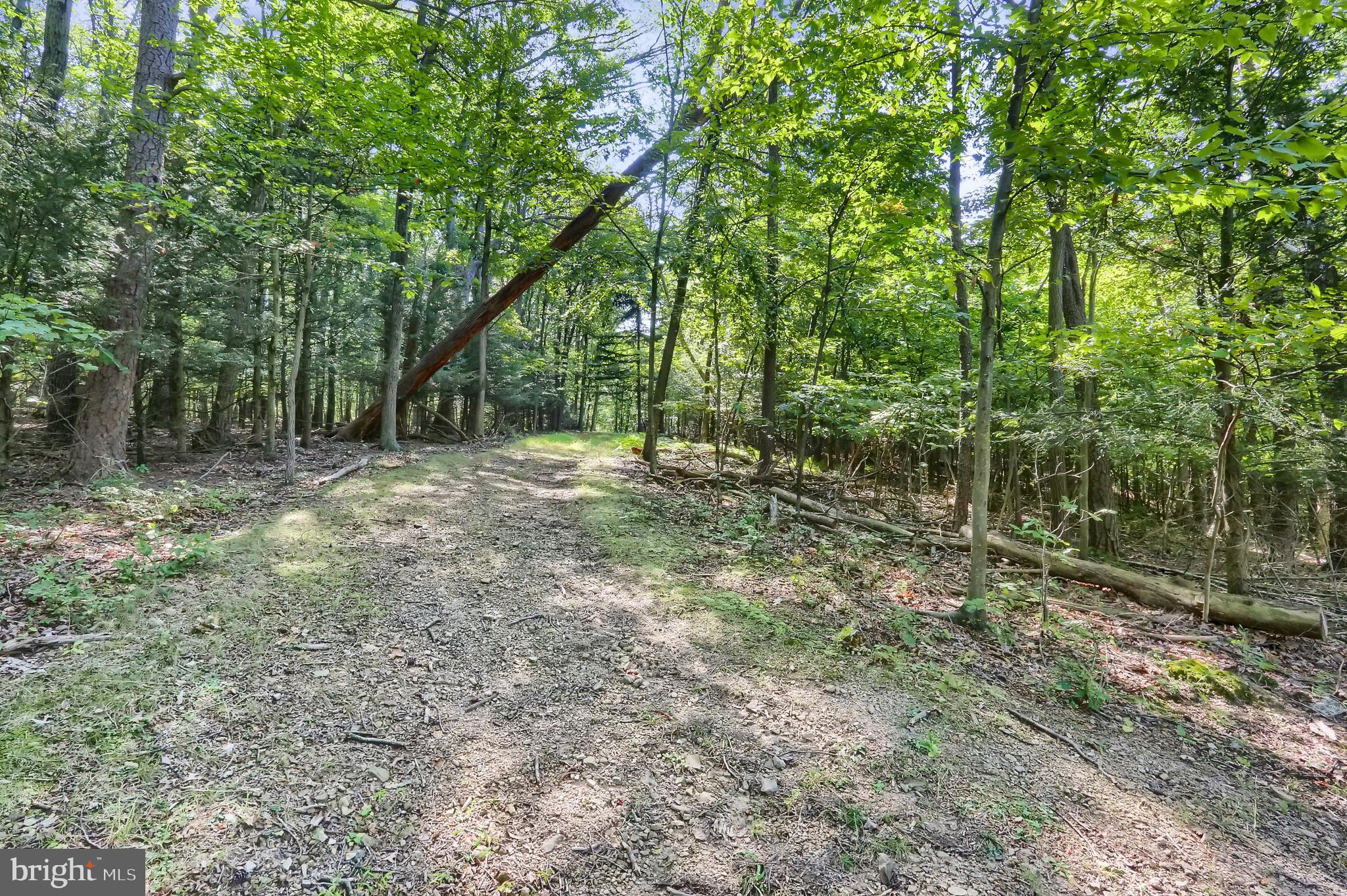 33 Cook Road Duncannon, PA 17020 - Photo 74 of 79 Gallery Image 74