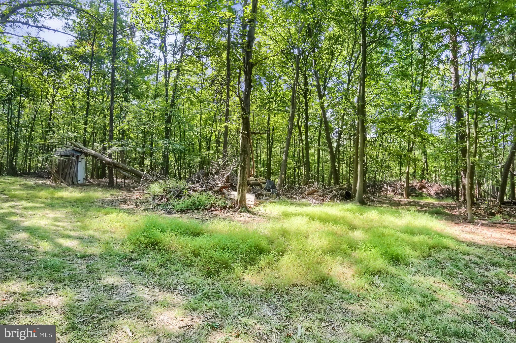 33 Cook Road Duncannon, PA 17020 - Photo 75 of 79 Gallery Image 75