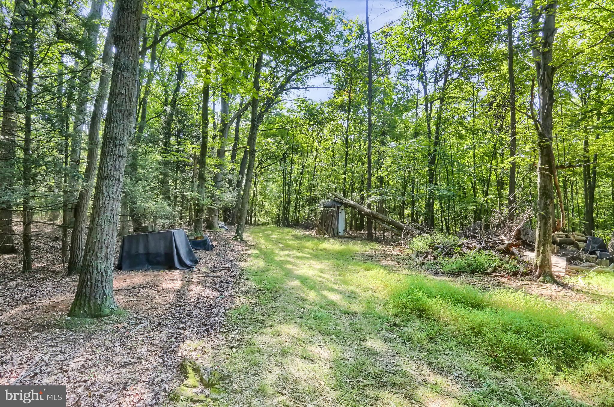 33 Cook Road Duncannon, PA 17020 - Photo 76 of 79 Gallery Image 76