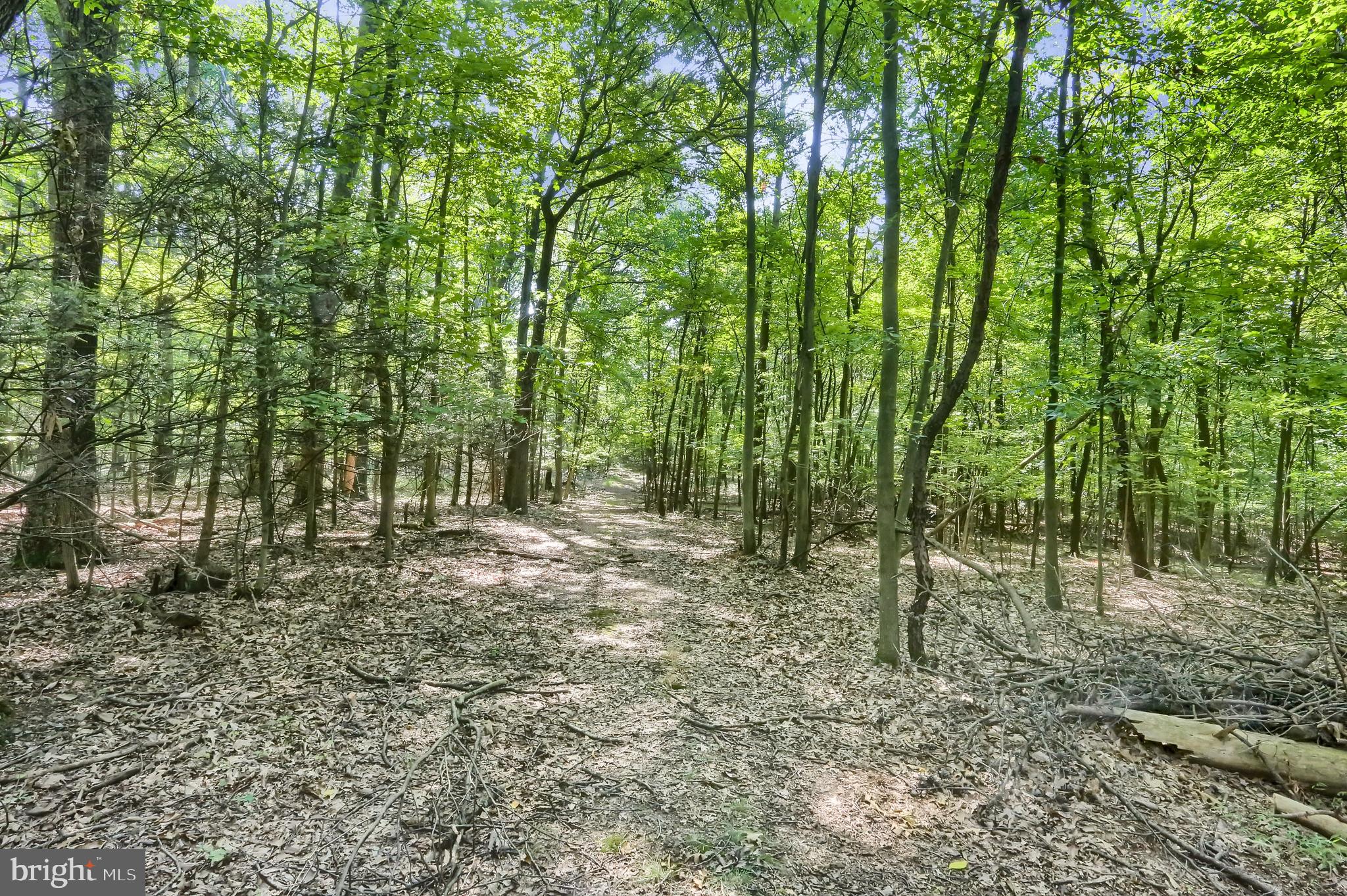 33 Cook Road Duncannon, PA 17020 - Photo 77 of 79 Gallery Image 77