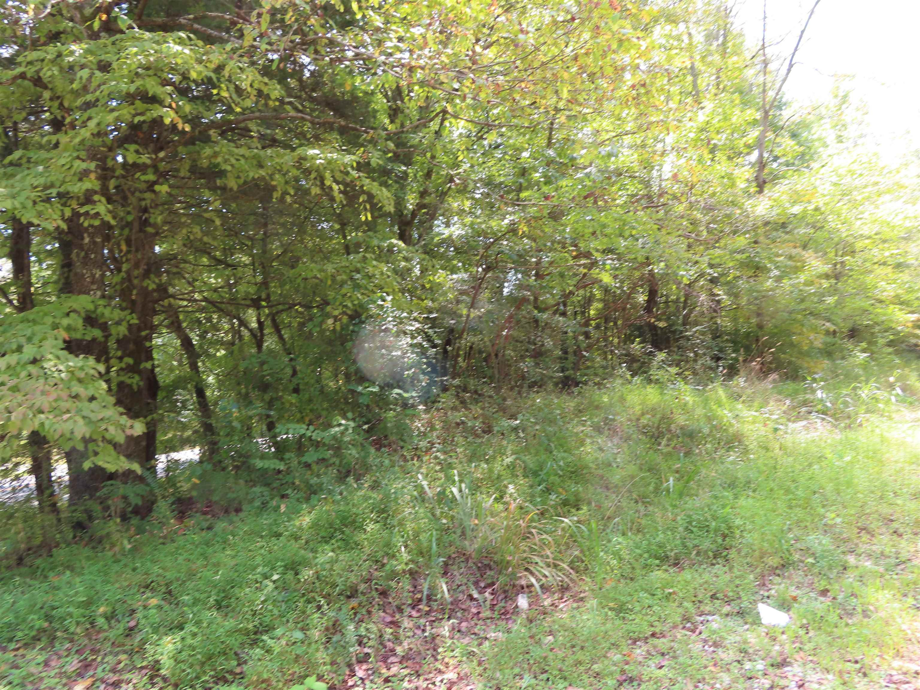 2330 Dry Creek Road Pinson, TN 38366 - Photo 1 of 3 Photo 1