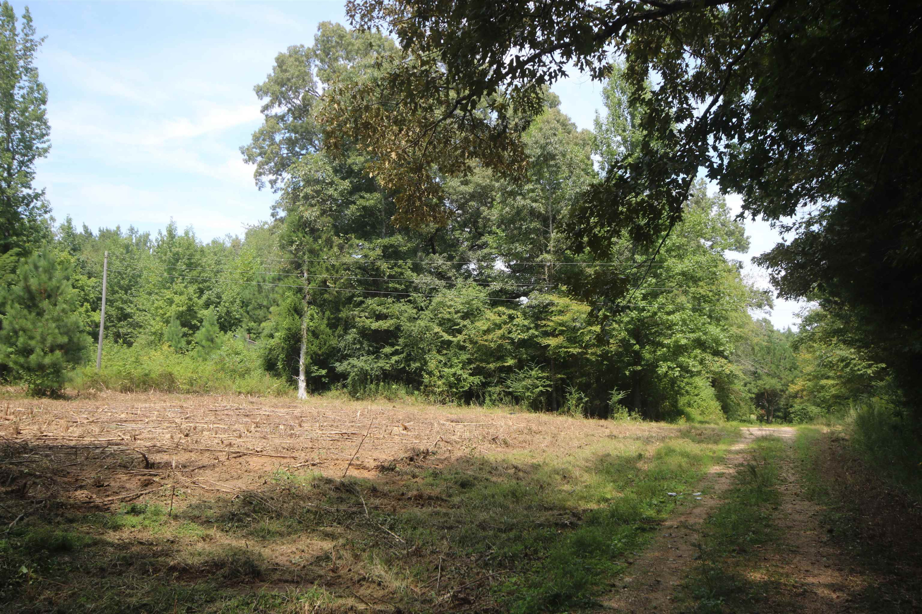 2330 Dry Creek Road Pinson, TN 38366 - Photo 3 of 3 Photo 3