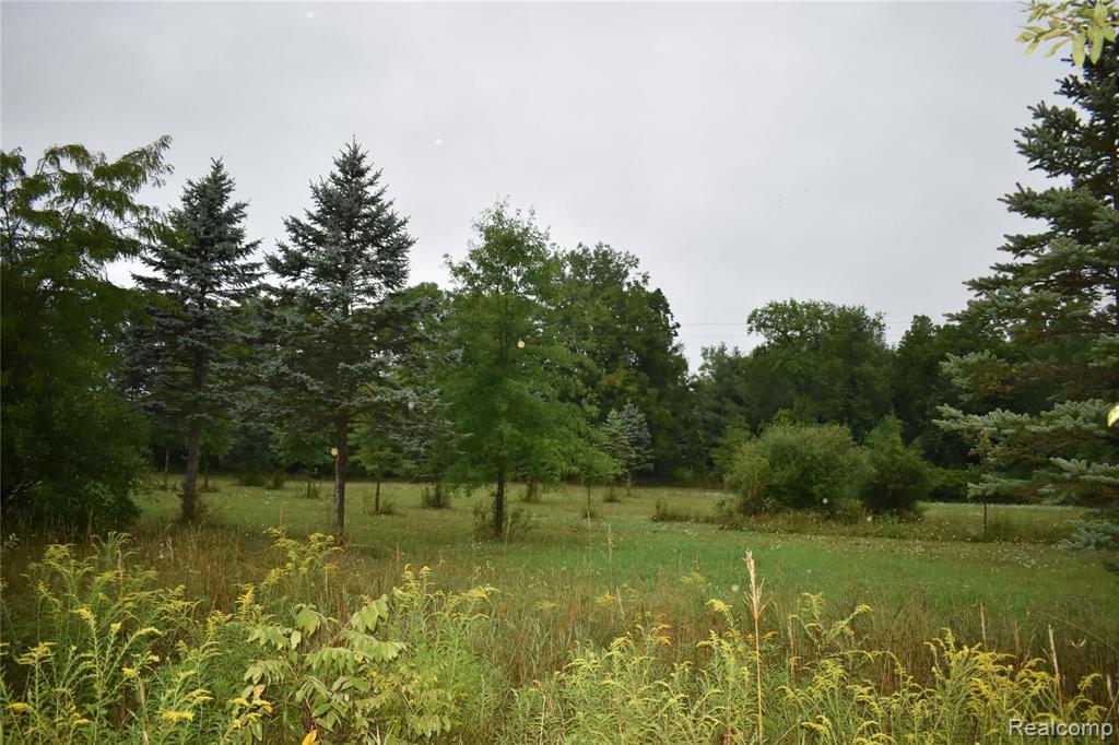 0 West Mohrle Road Fowlerville, MI 48836 - Photo 3 of 4