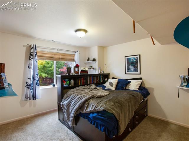 280 Avocet Loop Colorado Springs, CO 80921 - Photo 27 of 37