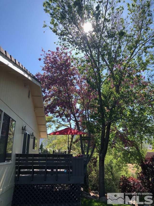 1435 Celese Lane Reno, NV 89511 - Photo 27 of 40 a backyard of a house with lots of green space