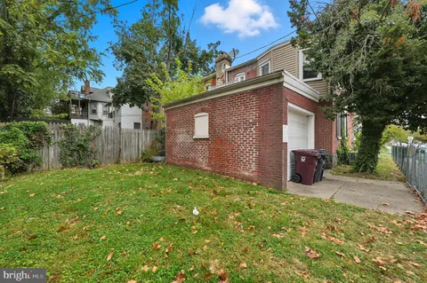 a view of a backyard with plants and large tree